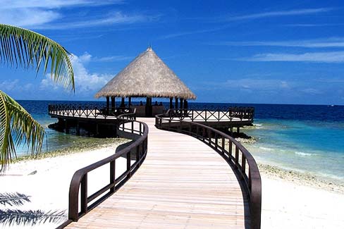  Bandos Island Resort & Spa班度士島 |島嶼照片