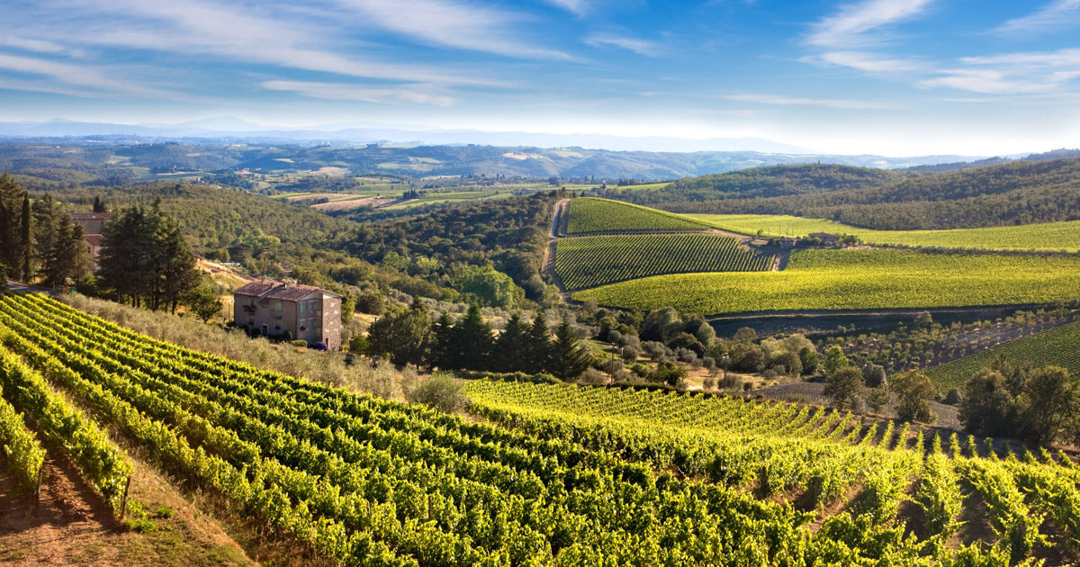 Siena,San Gimignano & Chianti