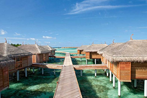 Constance Moofushi Resort  康士登摩登島|島嶼照片